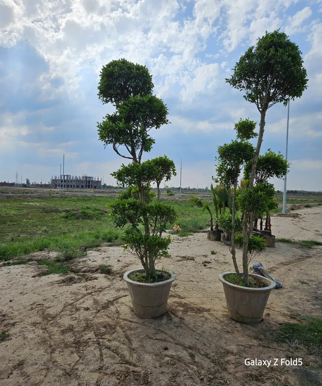 Canal Palms Phase 4 — project photograph 5